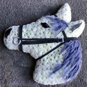Horses Head
