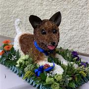 3D Laying Down Dog
